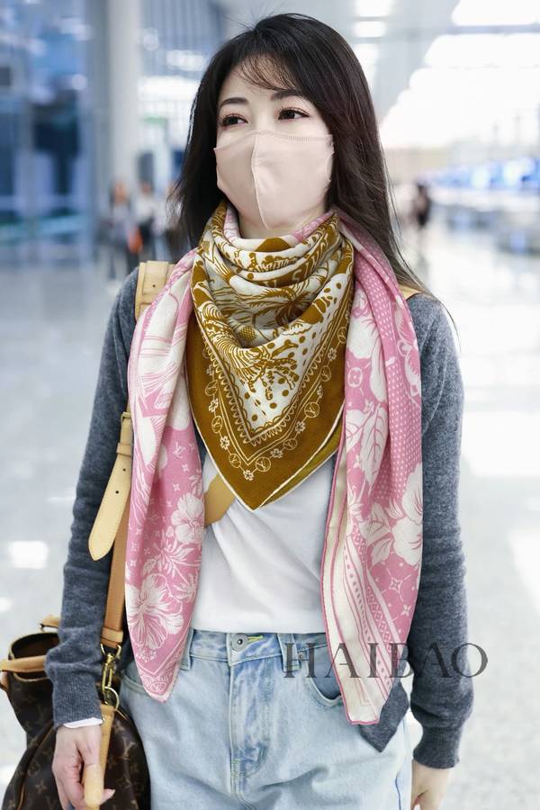 Louis Vuitton Scarf LVC00576